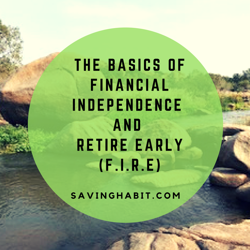 THE BASICS OF FINANCIAL INDEPENDENCE AND RETIRE EARLY (F.I.R.E)