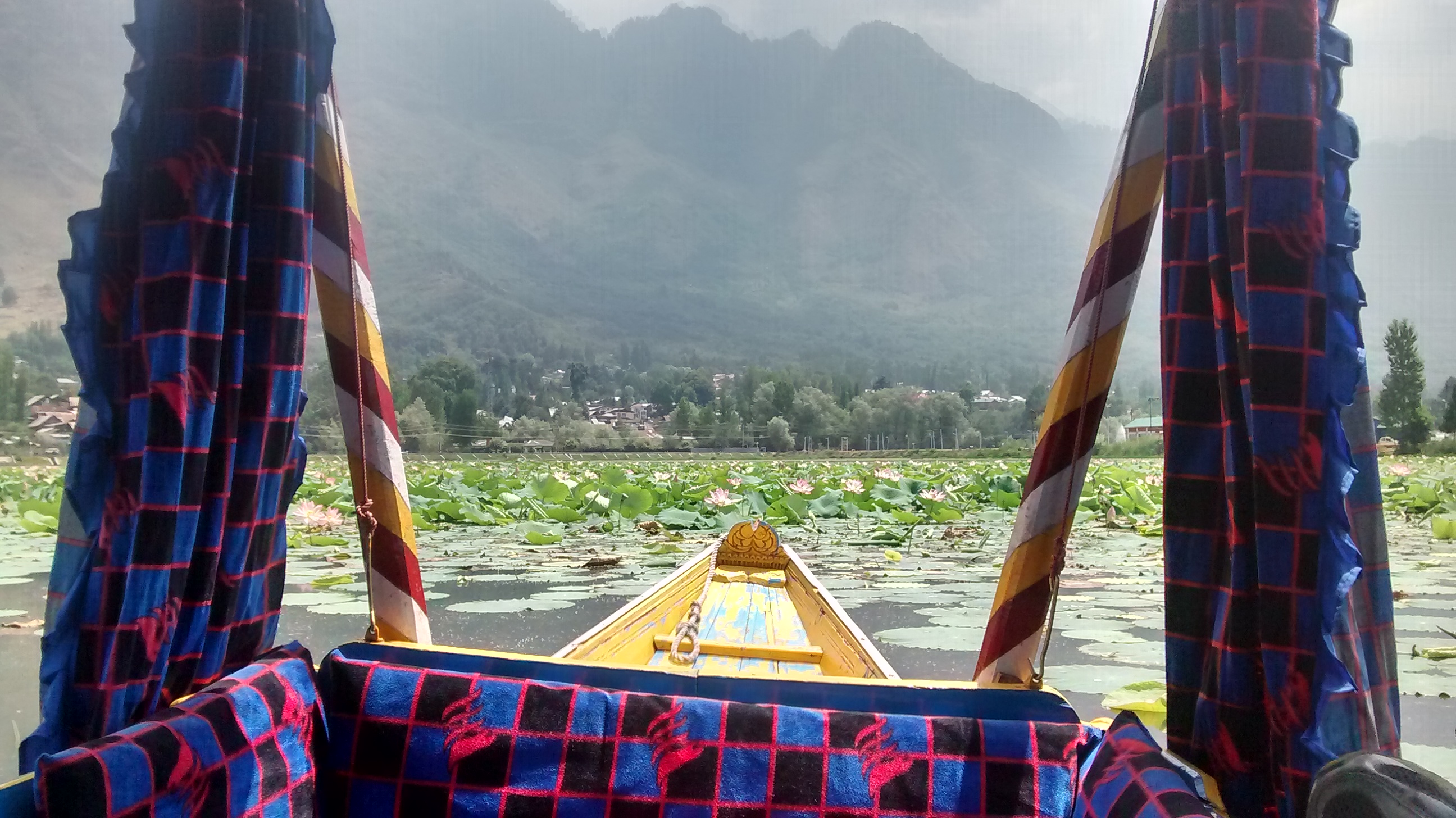 Boat ride at Dal Lake Kashmir